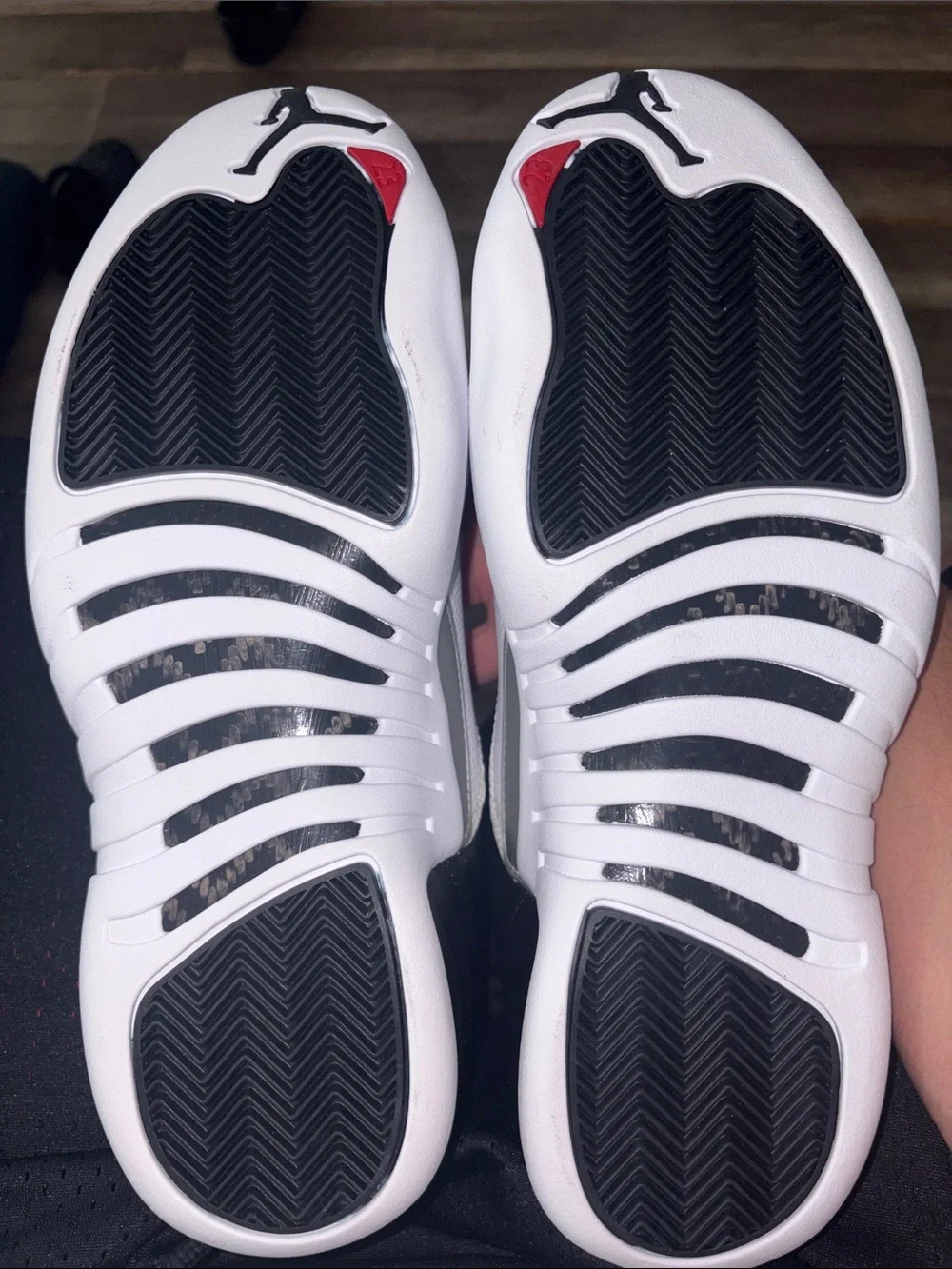 Jordan 12 Playoffs